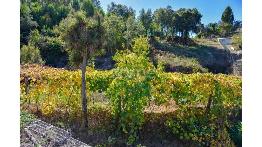 Terreno para Venda em Fonte Arcada Foto 12