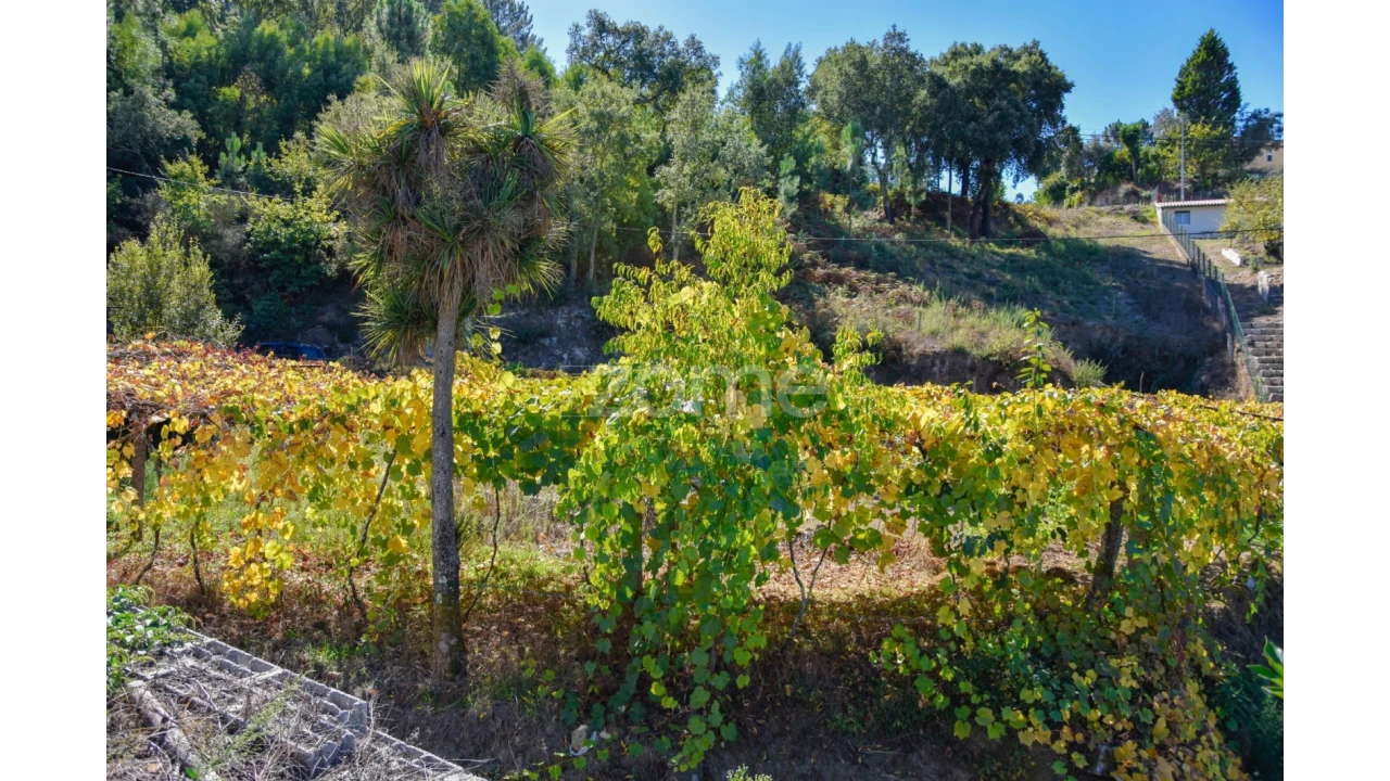 Terreno para Venda em Fonte Arcada Foto 12