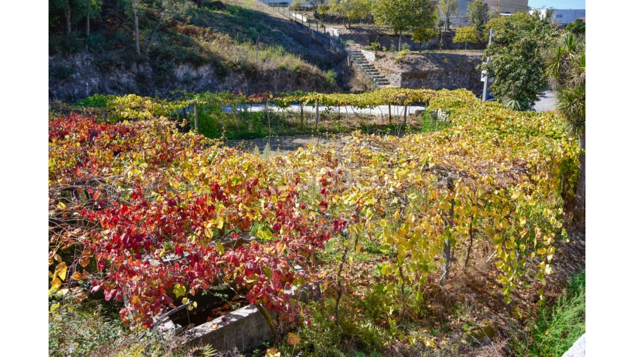 Terreno para Venda em Fonte Arcada Foto 14