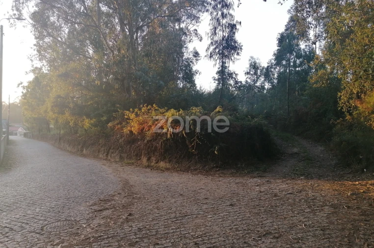 Terreno para Venda em Fradelos Foto 8