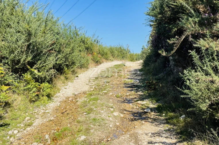 Terreno para Venda em Fradelos Foto 13