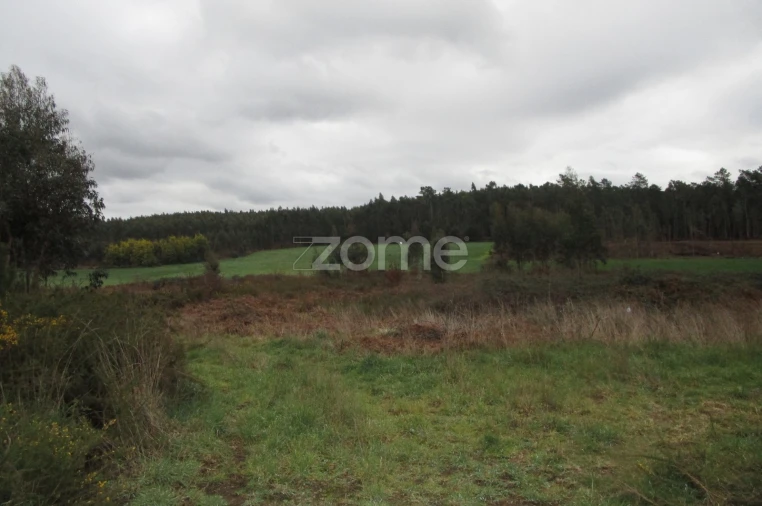 Terreno para Venda em Fradelos Foto 4