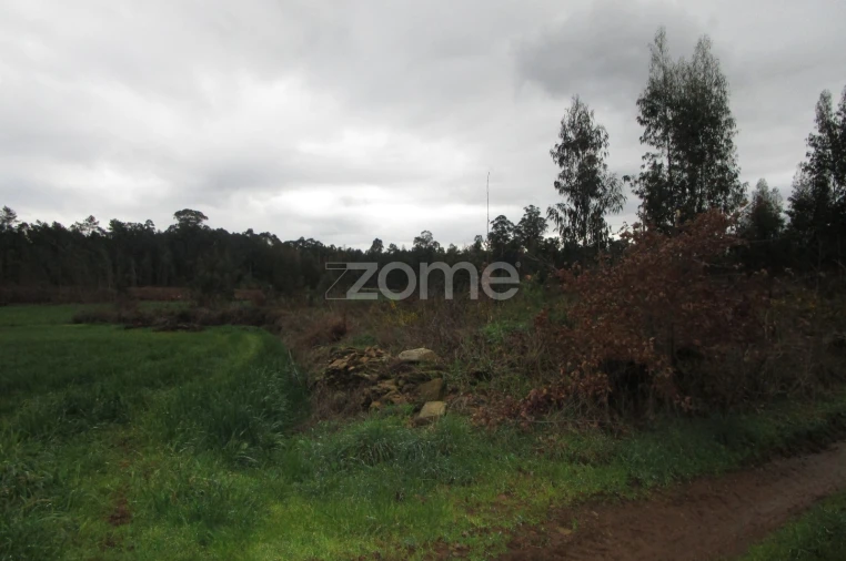 Terreno para Venda em Fradelos Foto 5