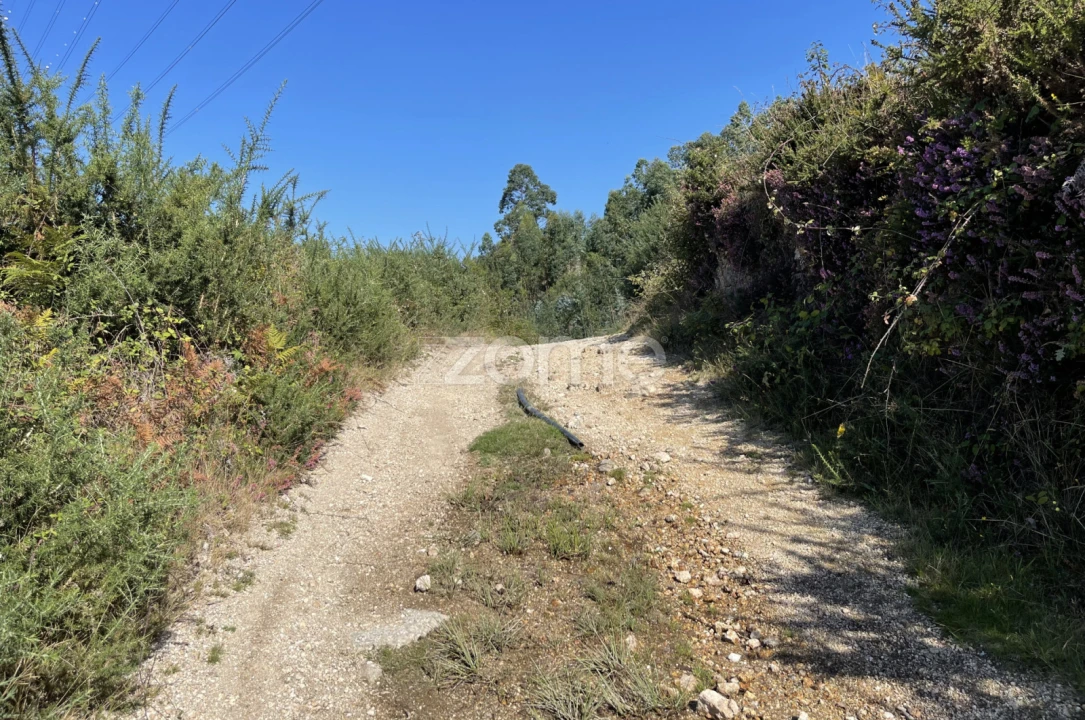 Terreno para Venda em Fradelos Foto 12