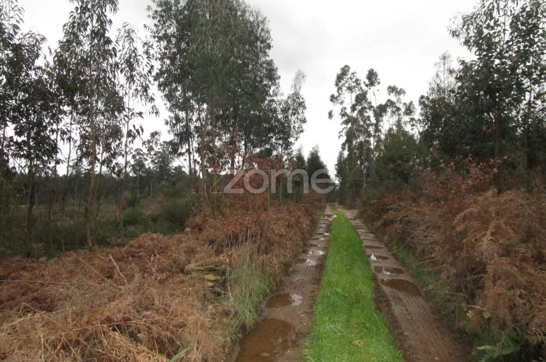 Terreno para Venda em Fradelos Foto 1