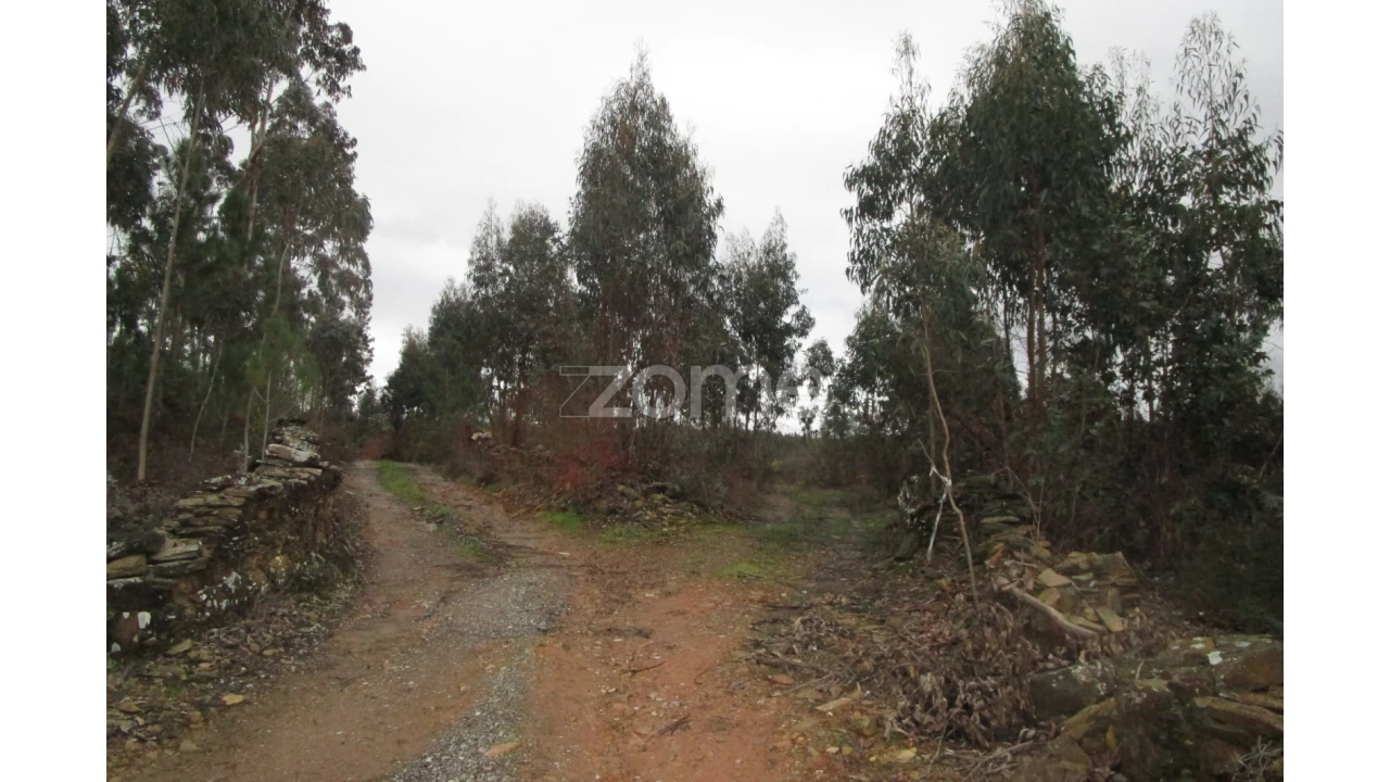 Terreno para Venda em Fradelos Foto 4