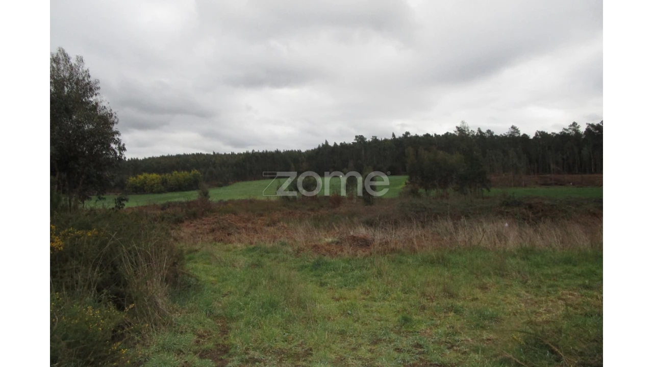 Terreno para Venda em Fradelos Foto 5