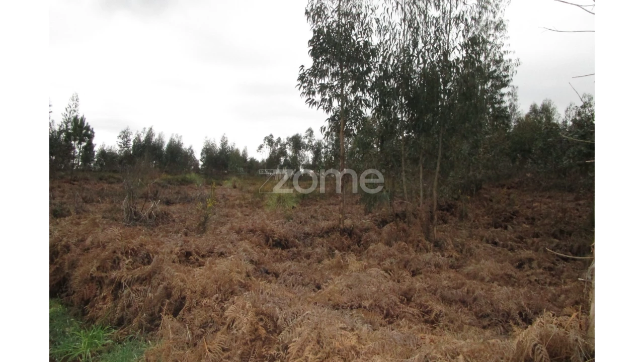 Terreno para Venda em Fradelos Foto 6