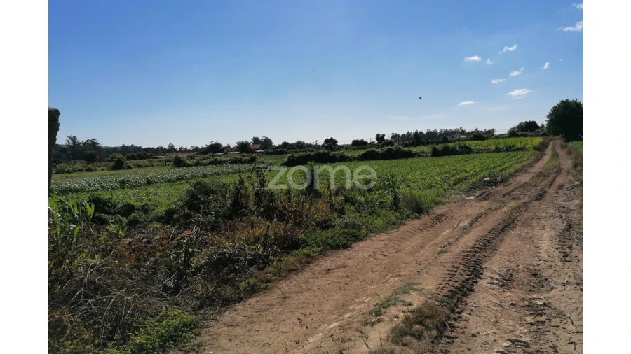 Terreno para Venda em Fradelos Foto 7