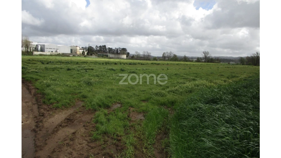 Terreno para Venda em Fradelos Foto 4