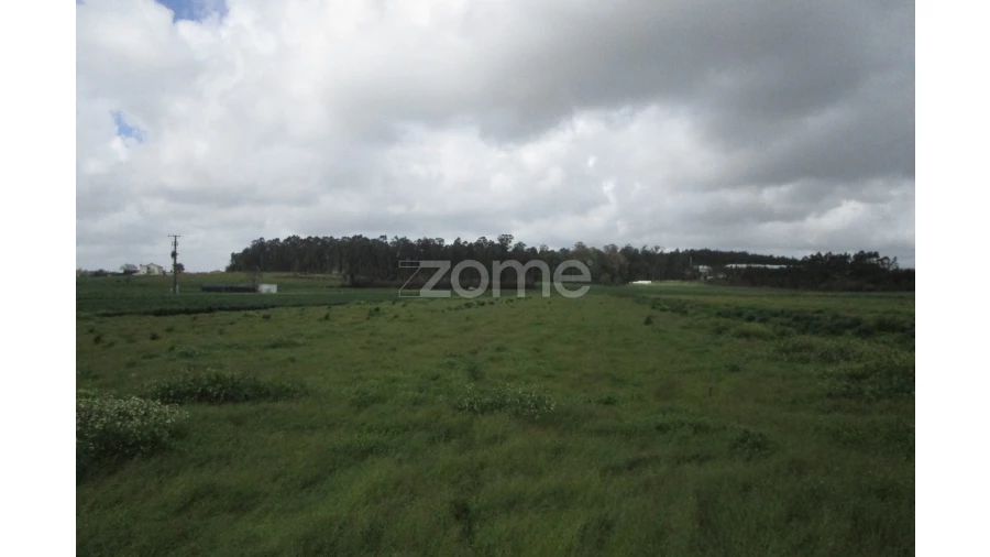 Terreno para Venda em Fradelos Foto 5