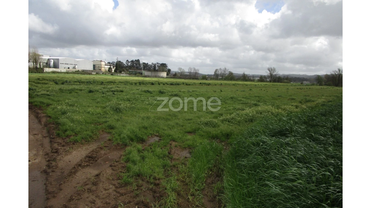 Terreno para Venda em Fradelos Foto 4