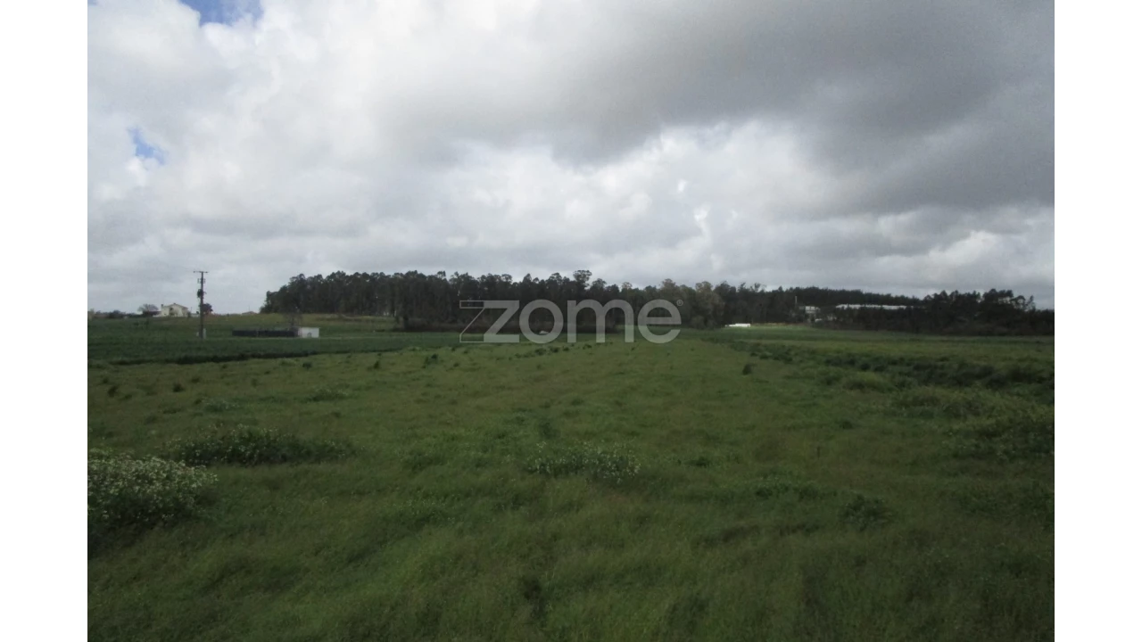 Terreno para Venda em Fradelos Foto 5