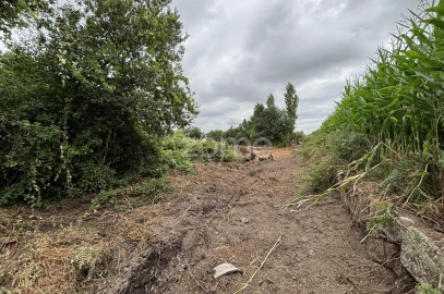 Terreno para Venda em Pedrouços