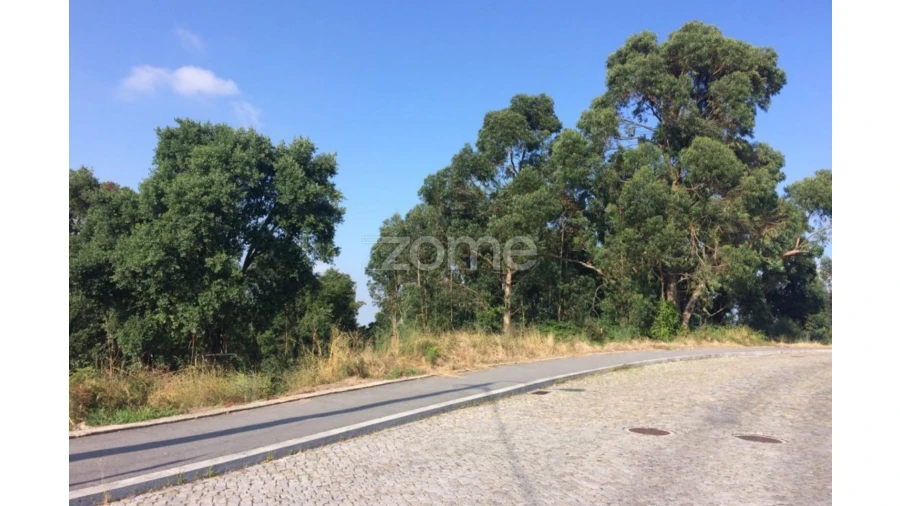 Terreno para Venda em Pedrouços Foto 10