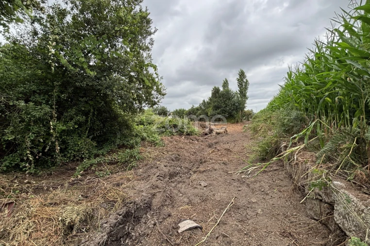 Terreno para Venda em Pedrouços Foto 4