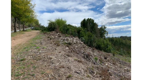 Terreno para Venda em Valongo