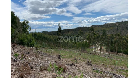 Terreno para Venda em Valongo