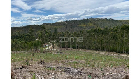 Terreno para Venda em Valongo