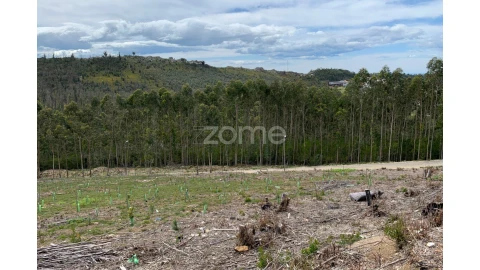Terreno para Venda em Valongo
