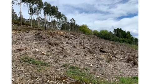 Terreno para Venda em Valongo