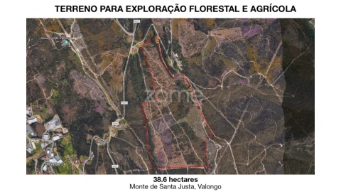 Terreno para Venda em Valongo