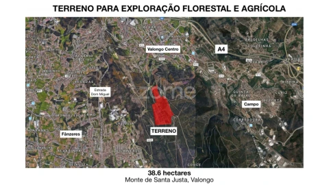 Terreno para Venda em Valongo