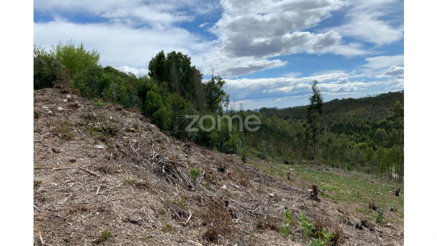Terreno para Venda em Valongo Foto 10