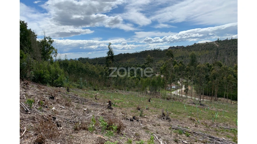 Terreno para Venda em Valongo Foto 12