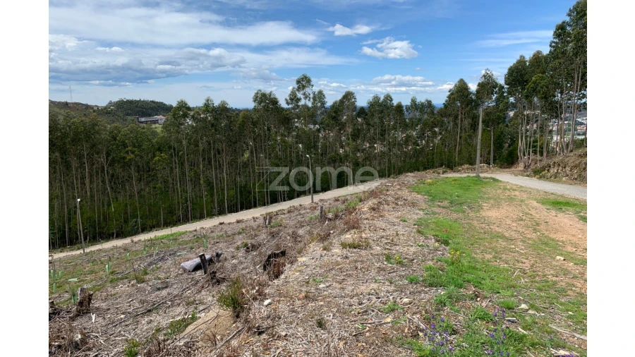 Terreno para Venda em Valongo Foto 15