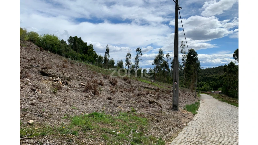 Terreno para Venda em Valongo Foto 14