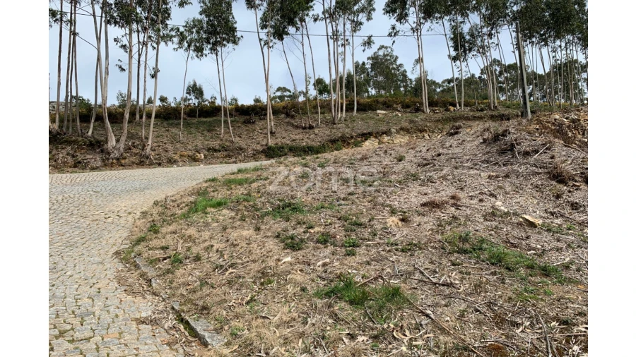 Terreno para Venda em Valongo Foto 17