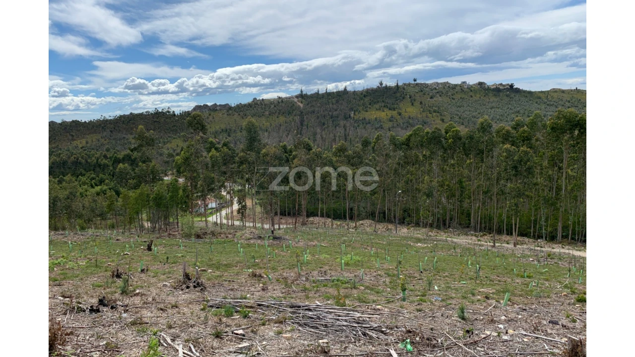 Terreno para Venda em Valongo Foto 11