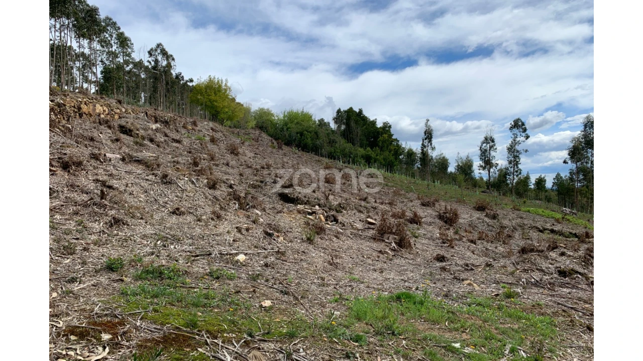 Terreno para Venda em Valongo Foto 16