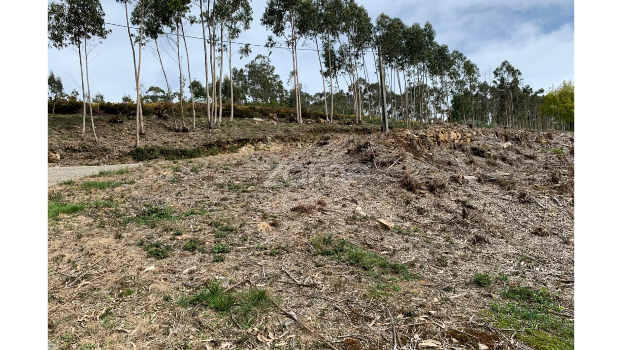 Terreno para Venda em Valongo Foto 18