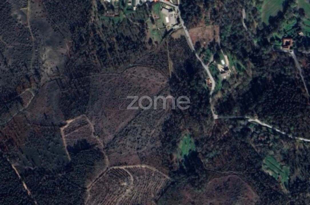 Terreno para Venda em Lamelas e Guimarei Foto 9