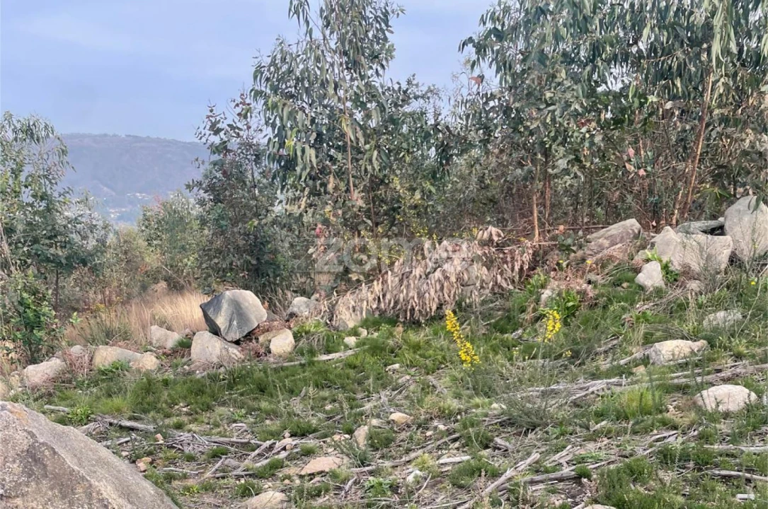 Terreno para Venda em Lamelas e Guimarei Foto 6