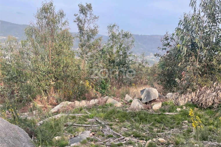 Terreno para Venda em Lamelas e Guimarei Foto 7