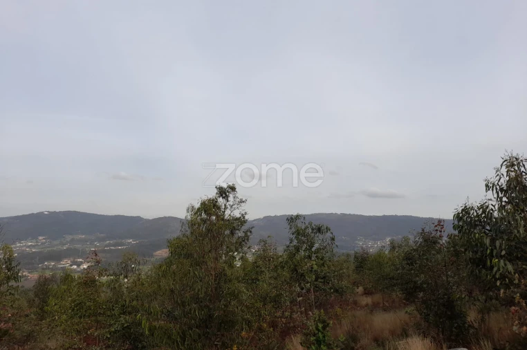 Terreno para Venda em Lamelas e Guimarei Foto 5