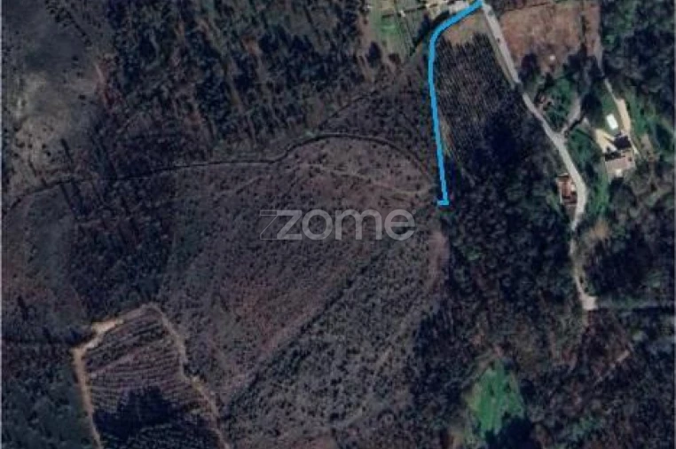 Terreno para Venda em Lamelas e Guimarei Foto 3