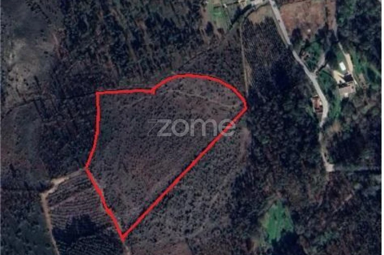 Terreno para Venda em Lamelas e Guimarei