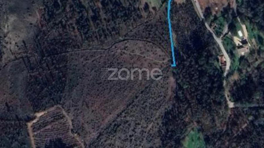 Terreno para Venda em Lamelas e Guimarei