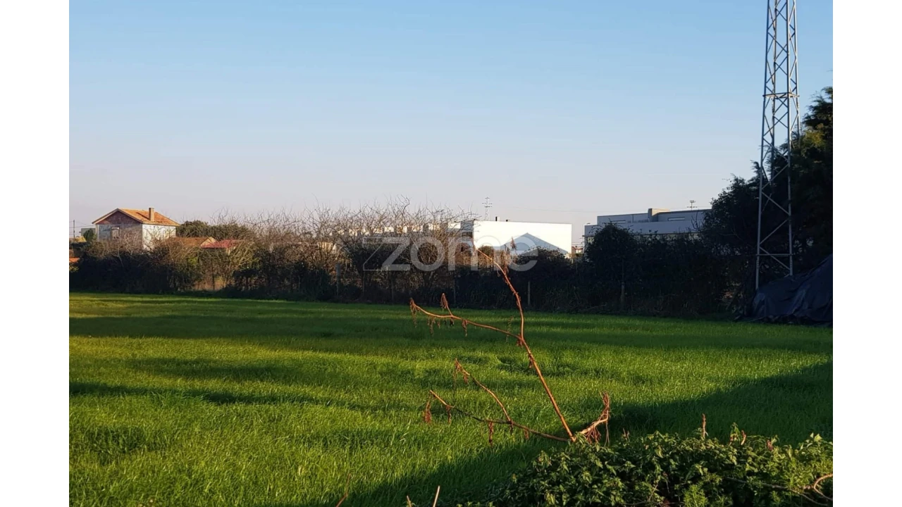 Terreno para Venda em Perafita, Lavra e Santa Cruz do Bispo Foto 4