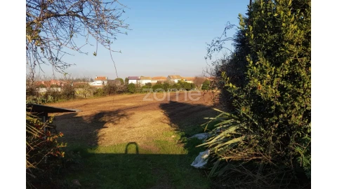 Terreno para Venda em Perafita, Lavra e Santa Cruz do Bispo