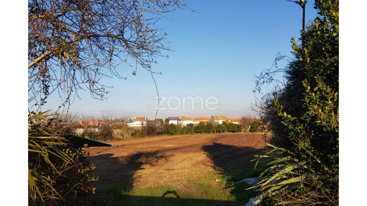 Terreno para Venda em Perafita, Lavra e Santa Cruz do Bispo Foto 6