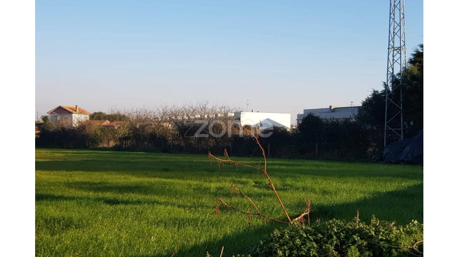 Terreno para Venda em Perafita, Lavra e Santa Cruz do Bispo Foto 4