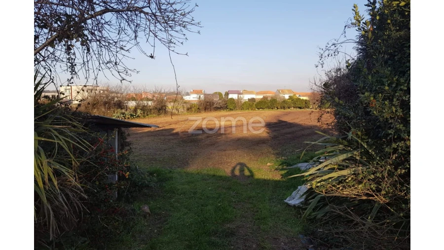 Terreno para Venda em Perafita, Lavra e Santa Cruz do Bispo Foto 5