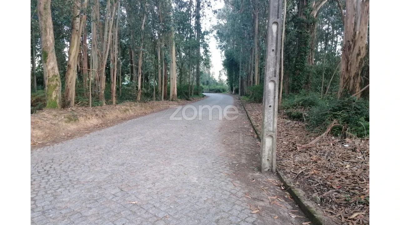 Terreno para Venda em Areias, Sequeirô, Lama e Palmeira Foto 9