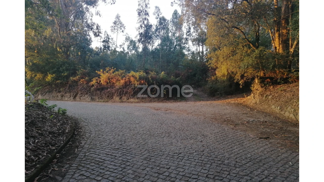 Terreno para Venda em Areias, Sequeirô, Lama e Palmeira Foto 8