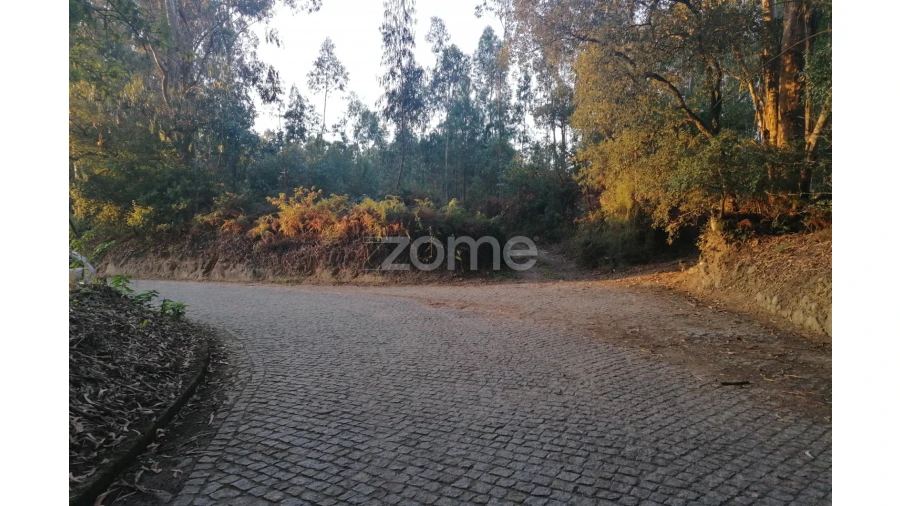 Terreno para Venda em Areias, Sequeirô, Lama e Palmeira Foto 8
